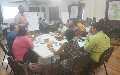 Guyana begins drafting its National REDD+ Strategy