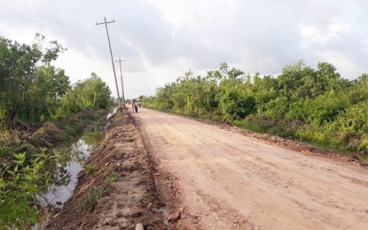 Belle West main road repairs