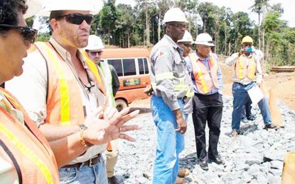 Illegal mining, weather, roads affecting Troy Resources