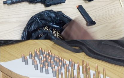 Security guard held with gun, 59 rounds of ammunition