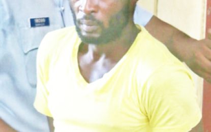 Miner on bail after allegedly chopping man to head
