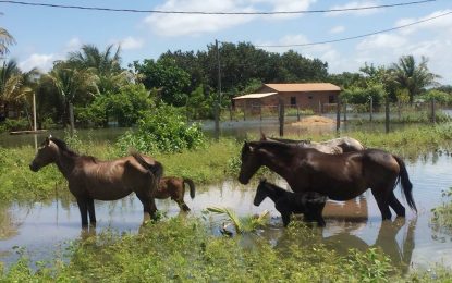 Lethem flood waters going nowhere… Supplies flown in, army working with affected residents