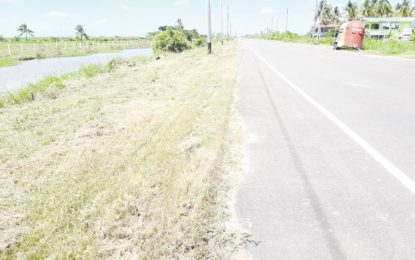 $120M contracts for slashing of road shoulders should be recalled – Region Six PM rep