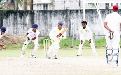 Noble House Seafoods 2nd division cricket…Ali-Mohammed’s all-round brilliance spurs GCC win over DCC