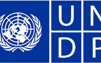 Govt. must be mindful of every donor agency eager to offer help – UNDP Report