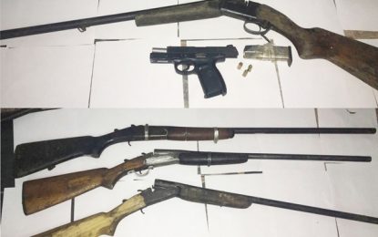 Several arrested; five shotguns, ganja seized in 16-hr Berbice operation