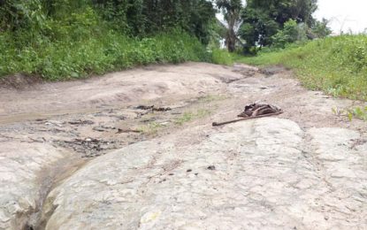 Tapakuma to benefit from improved access road by year-end