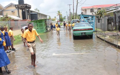 Heavy rainfall floods West Ruimveldt, Alexander Village