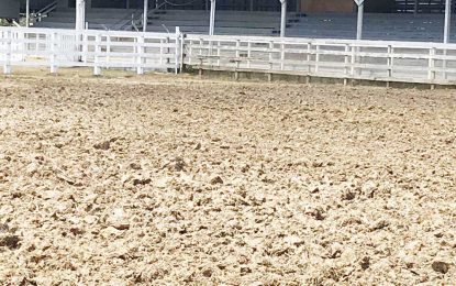 Systems in place for Sunday’s Rising Sun Turf Club Rodeo