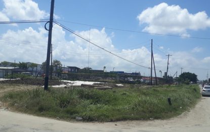 The saga of doing business in Guyana… City Council leases land, Lands and Survey sells it, CH&PA halts construction