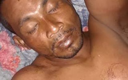 “Terrible Dog” murdered over sausage
