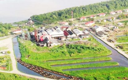 Several plots of GuySuCo’s lands at Wales, Diamond sold off