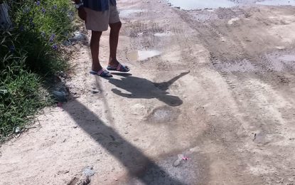 W.C.D access road damaged by heavy duty trucks  – Residents blame contractor,say paved surface now mud damn