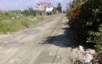 In wake damaged West Dem access road Contractor calls for residents to exercise patience