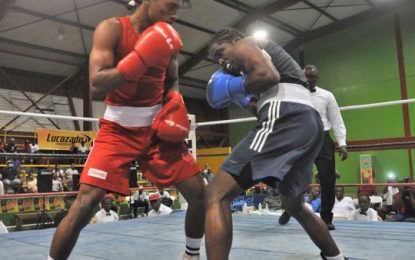 Patrick Ford Memorial Boxing C/Ships Allicock dominate Joseph, Amsterdam win close fight over Prince