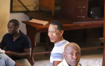 Two charged for stealing firearm in church yard