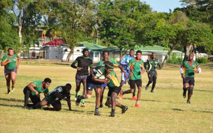 GRFU 2019 season opens today with 15s clash at National Park Busy year ahead for men’s 15s and 7s teams