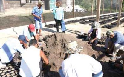 From Santa Rosa to your cup…$25M boost for ground coffee Industry in largest Indigenous community