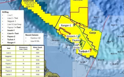 Govt. engages ‘corrupt’ Petrobras to help with offshore development