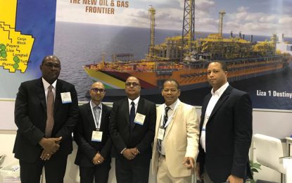 Guyana’s oil success hinges on well managed natural resource fund, robust local content policy– Energy Chamber President