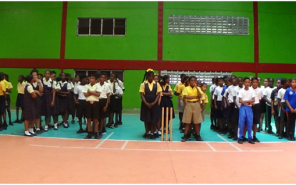 Craig and Saint Anne’s win in latest action of Primary Schools Windball Cricket