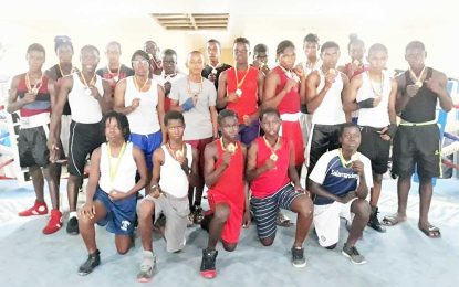 Pepsi Mike Parris U-16 Boxing C/Ships staged