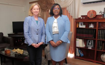 US Ambassador calls on new Foreign Affairs Minister