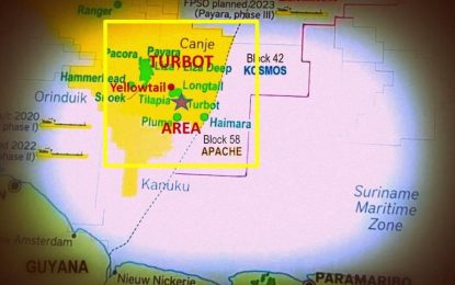 Guyana’s oil discoveries give Suriname’s basin de-risking boost