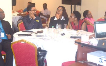 Caribbean agencies ready to export to European Union