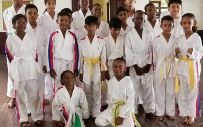 White Tiger Martial Arts Academy hosts first Taekwondo grading for the year