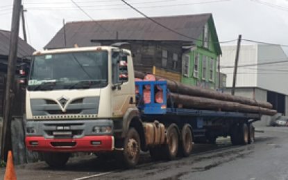 Poor road conditions blamed as log exports fall