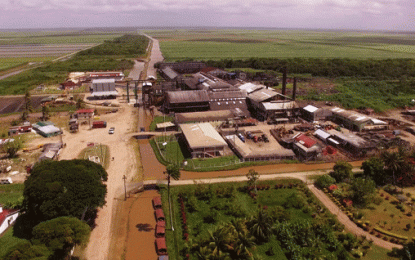 Regional sugar companies shift focus to CARICOM market