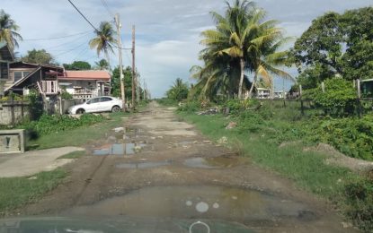 Residents of Archer Street, East Canje plead for help