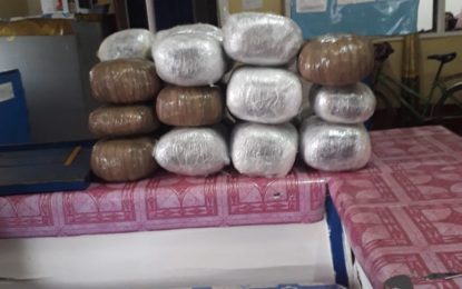 West Berbice police seize 120lbs marijuana