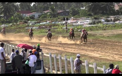 Bush Lot Village: an evolving settlement where the races commune as one