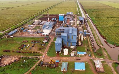 Consortium tipped to take over Rose Hall estate  -information blackout from GuySuCo snags sugar privatization process