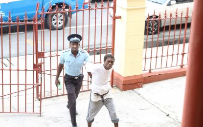 ‘Dem police deh pon stupidness’ – Man tells court