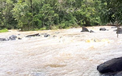 A MAGICAL JOURNEY THROUGH GUYANA