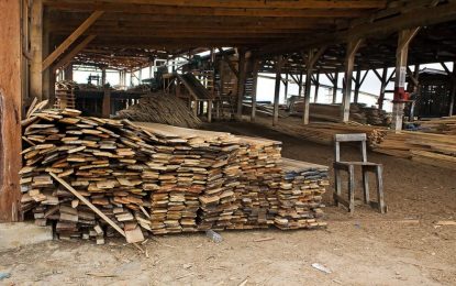Forestry Commission considering export licences for sawmillers and timber dealers
