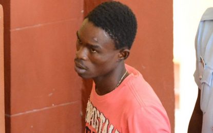 Miner who gave cops “the works” to arrest him, jailed