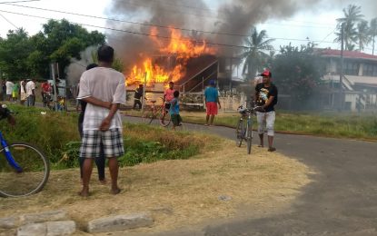 Port Mourant farmer returns to home on fire