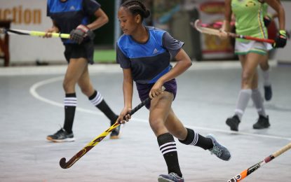 Sports Hall confirmed for Junior Indoor Hockey Tourney