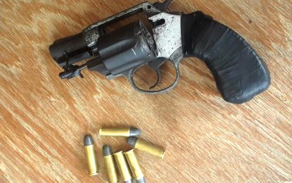 Citizens capture Diamond robber, recover revolver