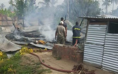 Six homeless after relative allegedly torches Bushlot shack