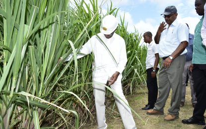 Sugar workers petition President for pay increase