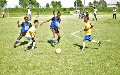 Smalta girls’ peewee football tourney Finalist to be decided today