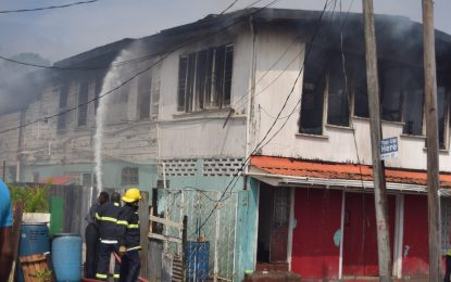 Tenant collapses, dies as Princes St. home burns