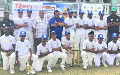 GCB local youth cricket review