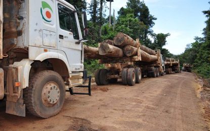 Lands seized from BaiShanLin should not be allocated in a hurry – Jagdeo