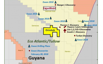 Tullow eyes 11 new leads on Orinduik Block for light, sweet crude